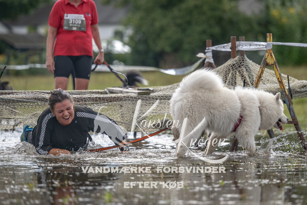 1335_ZZ90231 | kk-dogfotos