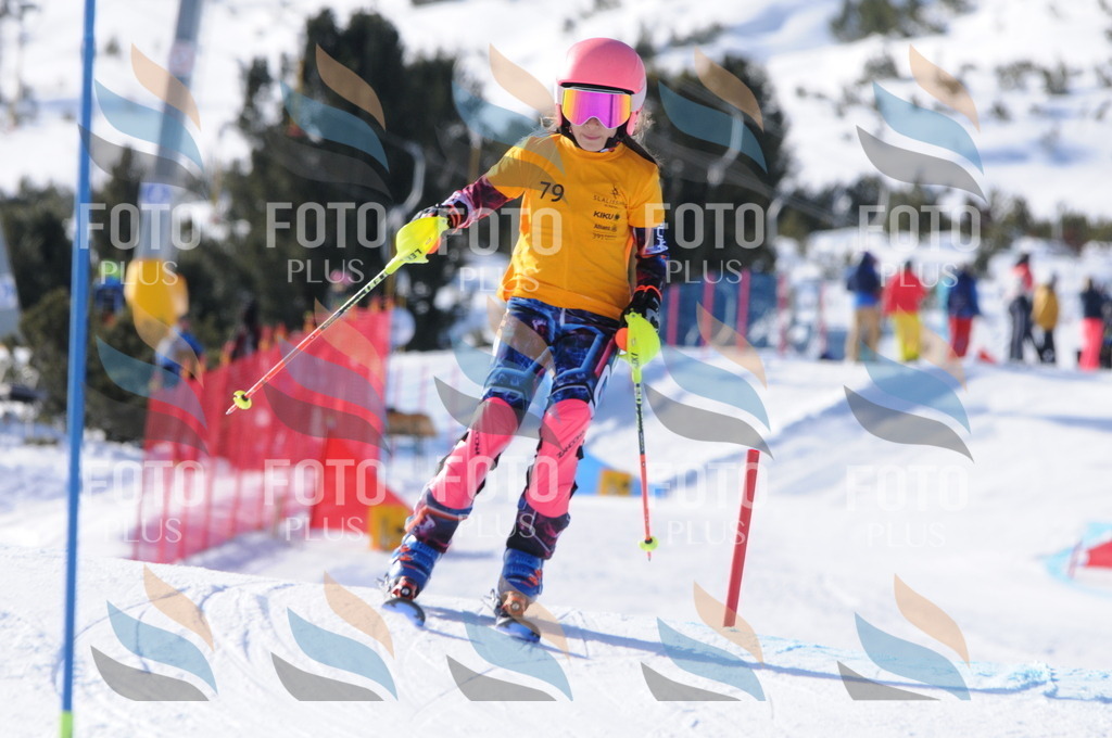 C6987 | holidayphoto