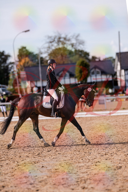 2026_10_03_Siefer-Hof_132235_Z81_72159356 | Professionelle Reitsport-, Turnier- und Eventfotografie von Robert Broda. Galerien mit ausgewählten und bearbeiteten Bildern direkt online ansehen und bestellen.