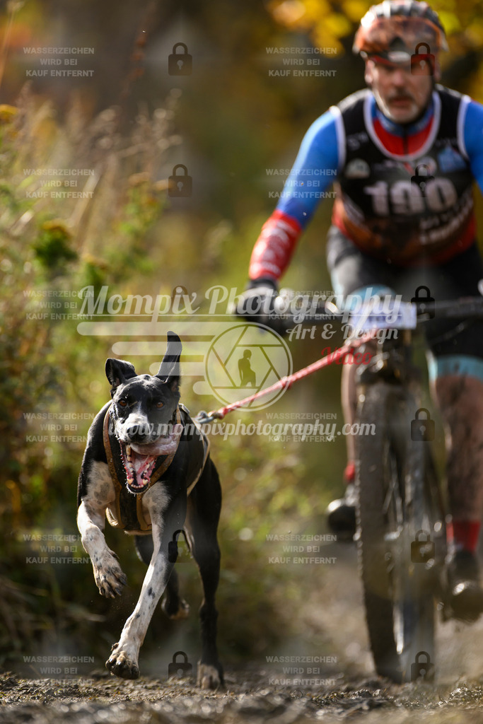 MompixPhotography_ICF_WC_2024_SA_Bike_-305 | PayLife