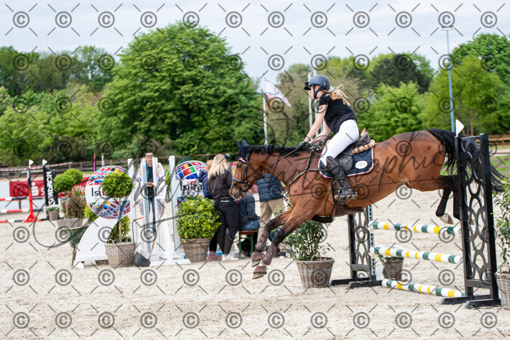 KPT_7225 | andre_photographic