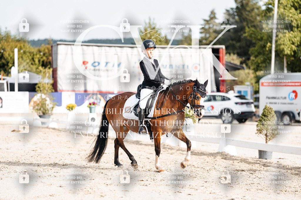 CK904218 | Turnierfotografie Pferdefotografie Trier Rheinland-Pfalz Pferdesport Reitsport Tierfotografie Sportfotografie Pferdevideo Pferdevideografie Equestrianvideography equestrianphotography  - Realisiert mit Pictrs.com