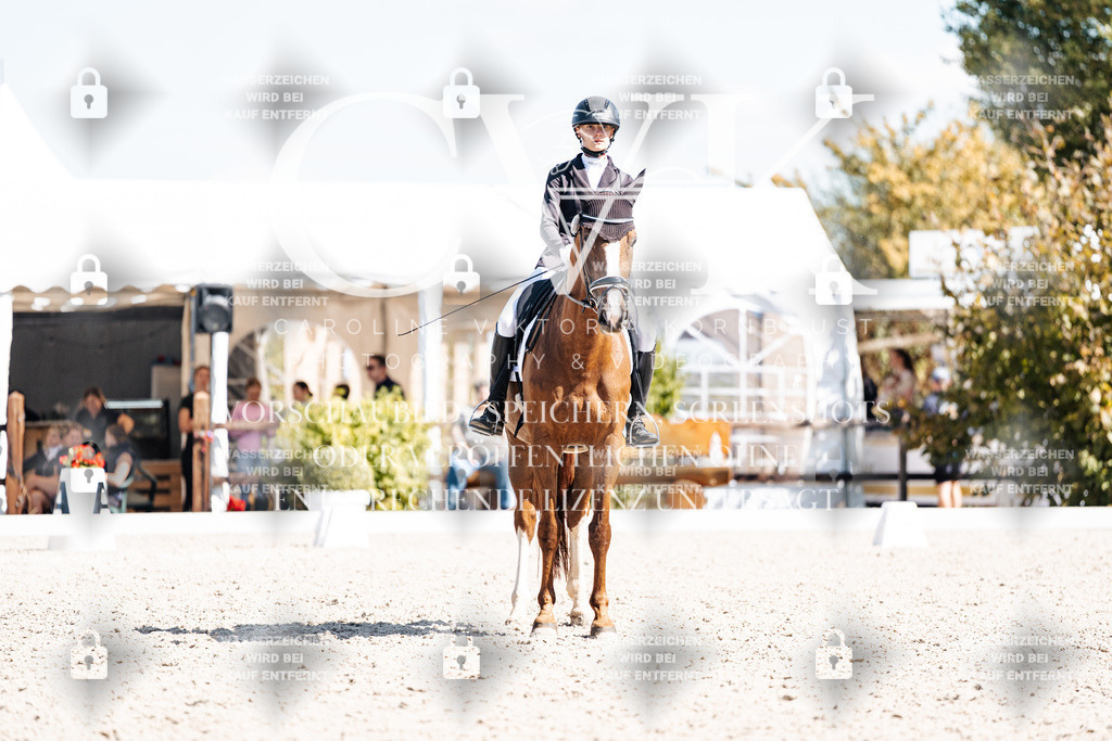 CK903993 | Turnierfotografie Pferdefotografie Trier Rheinland-Pfalz Pferdesport Reitsport Tierfotografie Sportfotografie Pferdevideo Pferdevideografie Equestrianvideography equestrianphotography  - Realisiert mit Pictrs.com