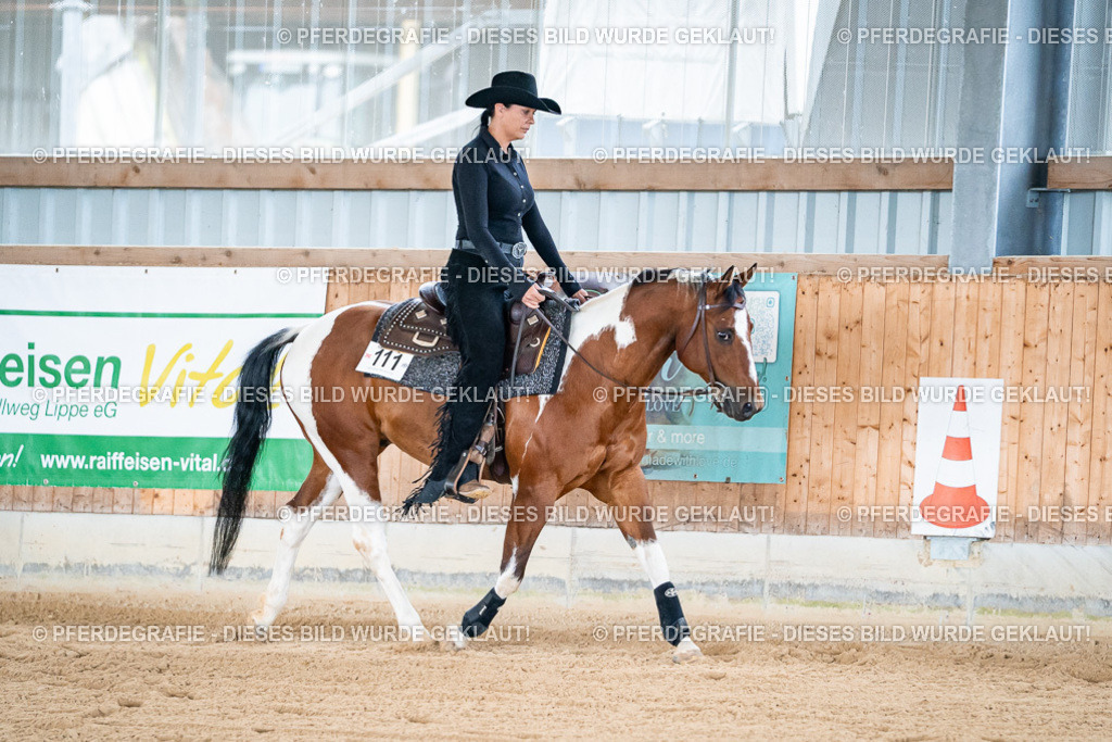 DSC08424 | Pferdegrafie