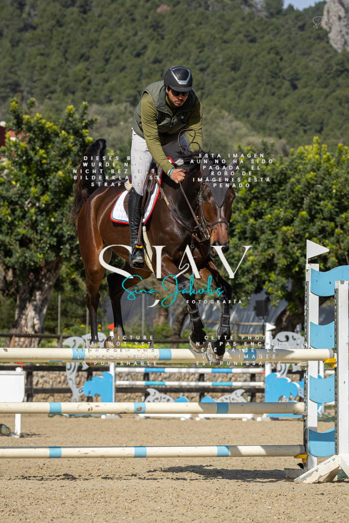 IMG_6644 | s-jay-photography - Realisiert mit Pictrs.com