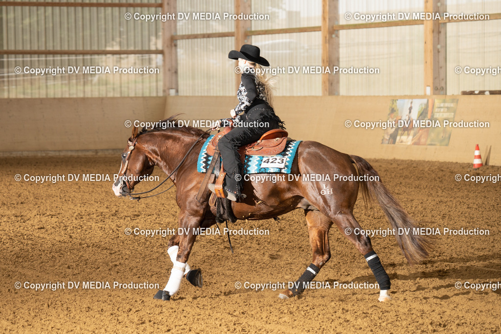 LAU00815 | dv-media-shop - Realisiert mit Pictrs.com