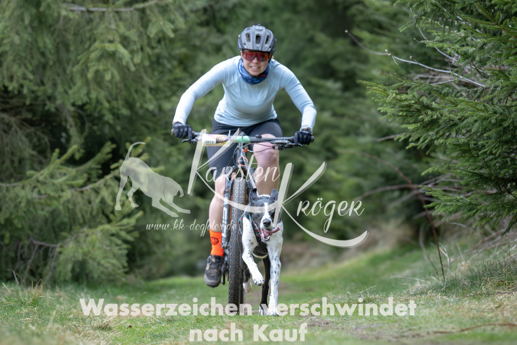 1309_ZZ93680 | kk-dogfotos