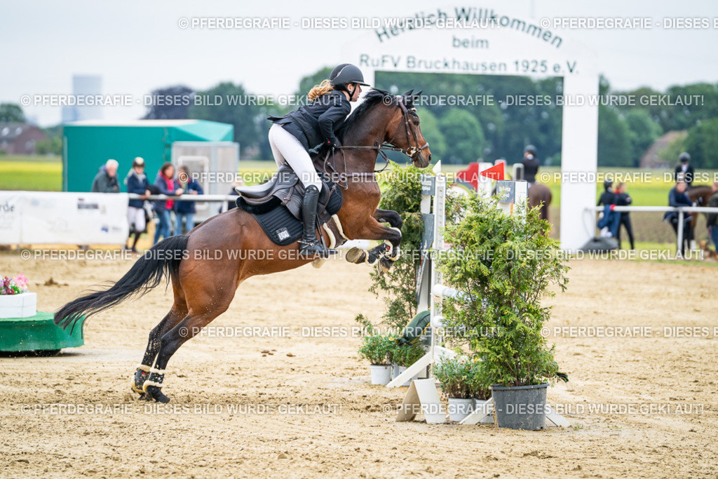 DSC06411 | Pferdegrafie