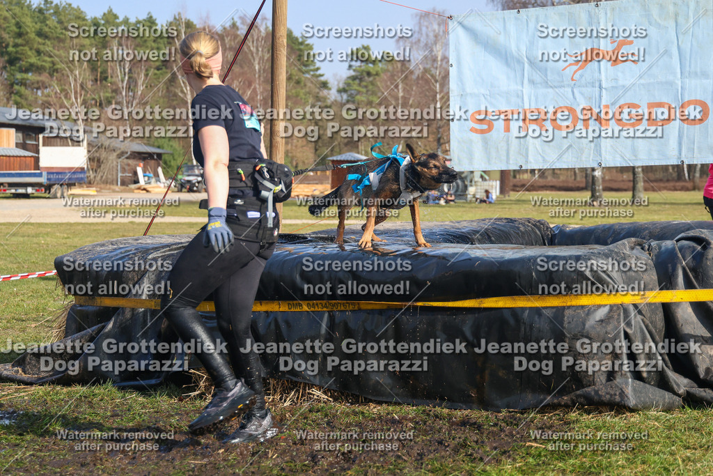 Dog Paparazzi - Strongdog North Mrz26-2798 | Dog Paparazzi Jeanette Grottendiek Fotografie & Videografie - Realisiert mit Pictrs.com