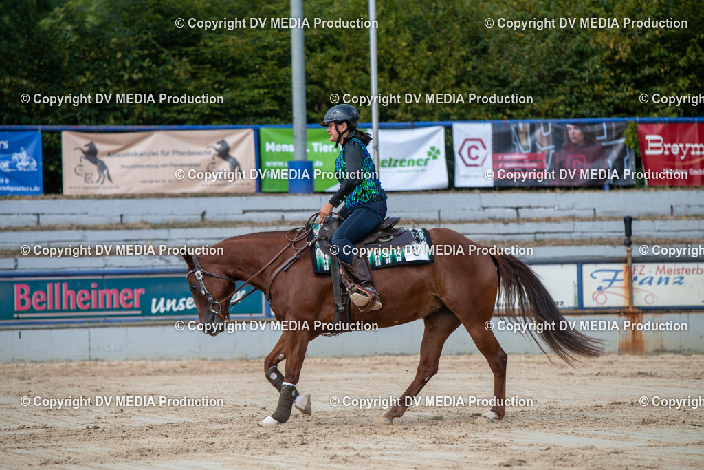 ZS3_9585 | dv-media-shop - Realisiert mit Pictrs.com