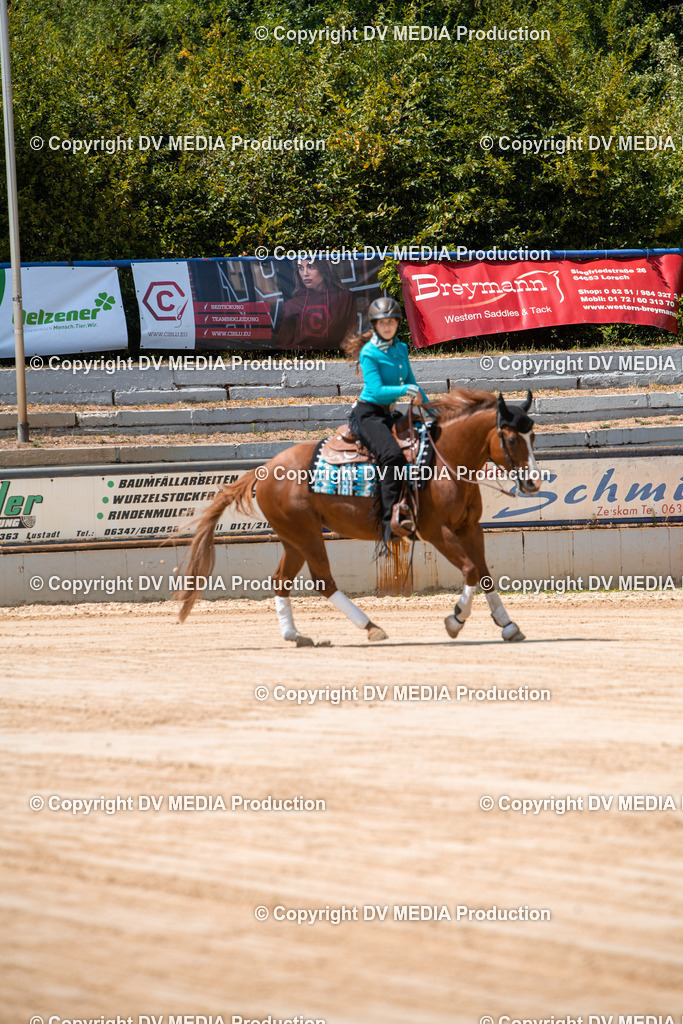 ZS3_9738 | dv-media-shop - Realisiert mit Pictrs.com