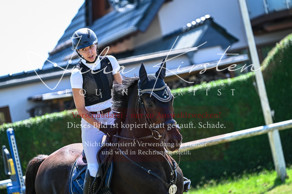 DSC_1130 | Pferde- und Turnierfotografie in Westsachsen. Pferdeportraits, Auftragszeichnungen und intuitive Kunst.