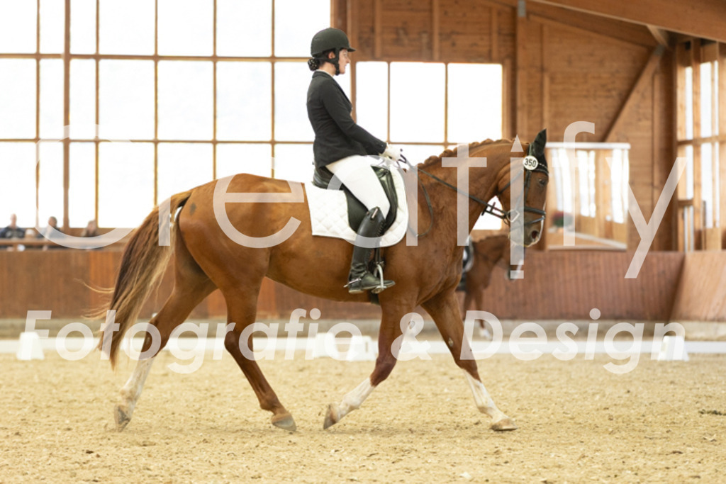 IMG_5774 | Creatify Fotografie