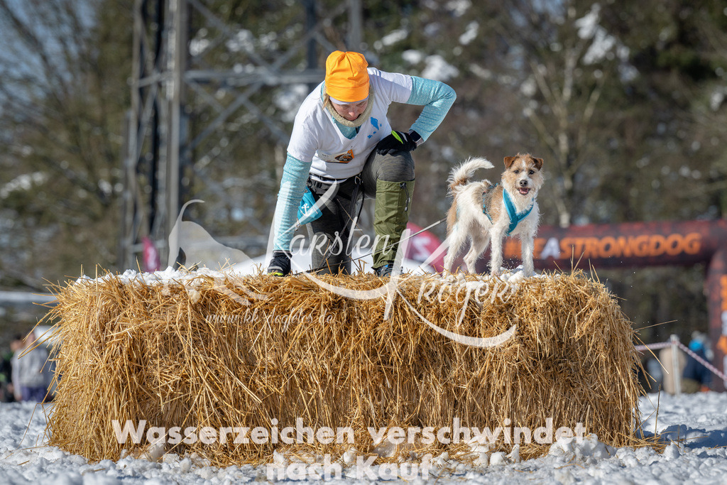 1119_ZZ91502-3 | kk-dogfotos