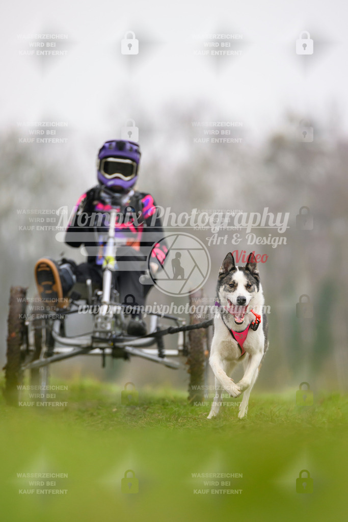 MompixPhotography_CDF2023_FFST_Di_Handimush-8 | PayLife