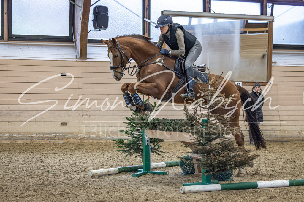 20260222-_3LI1296 | Tierfotografie Pferde, Hunde, Katzen, Haustiere.
Turnierfotografie Reitturniere, Reiten, Springreiten, Dressur in Hanau, dem Main-Kinzig-Kreis und dem Rhein-Main- Gebiet um Frankfurt