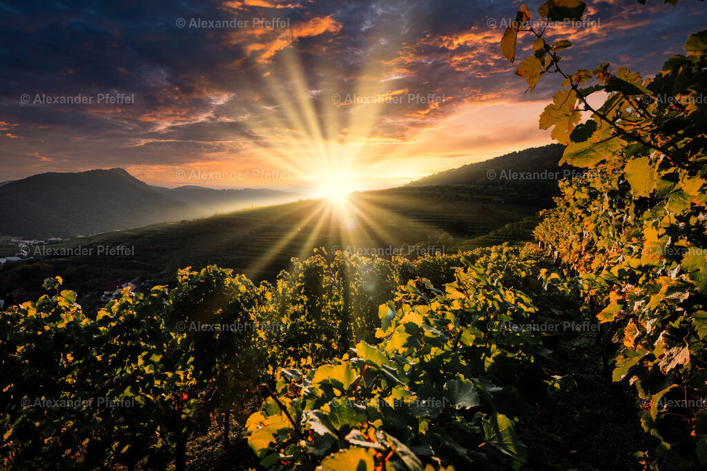 foto_c_pfeffel-partner-0088-R51_0235-HDR-Bearbeitet | alexander-pfeffel - Realisiert mit Pictrs.com