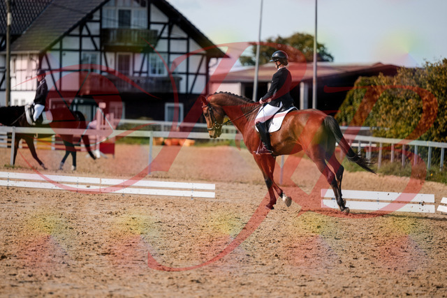 2026_10_03_Siefer-Hof_131042_Z63_73799635 | Professionelle Reitsport-, Turnier- und Eventfotografie von Robert Broda. Galerien mit ausgewählten und bearbeiteten Bildern direkt online ansehen und bestellen.