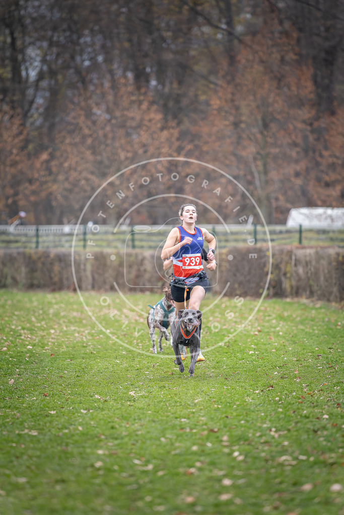 CaniXpix_DV3A7198 | Hundefotografie, Tierfotograf, Pfotenfotografie, Fotoshooting Hund, Hunde Portrait, Hundesport, Hundeportraits, Heideshooting, Hunde, Sportfotograf, Hundefotograf, Turnierhundsport, THS,  - Realisiert mit Pictrs.com