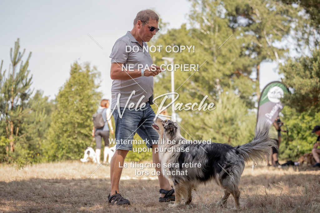 nelerasche_soDD2_75 | nelerasche