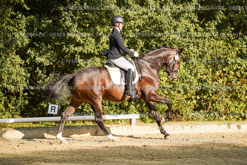 DSC05554 | Pferdegrafie