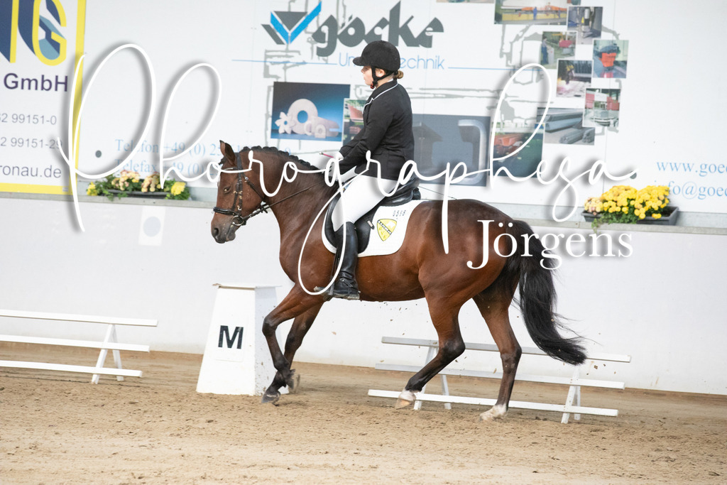 IMG_6083 | photographesa-joergens - Realisiert mit Pictrs.com