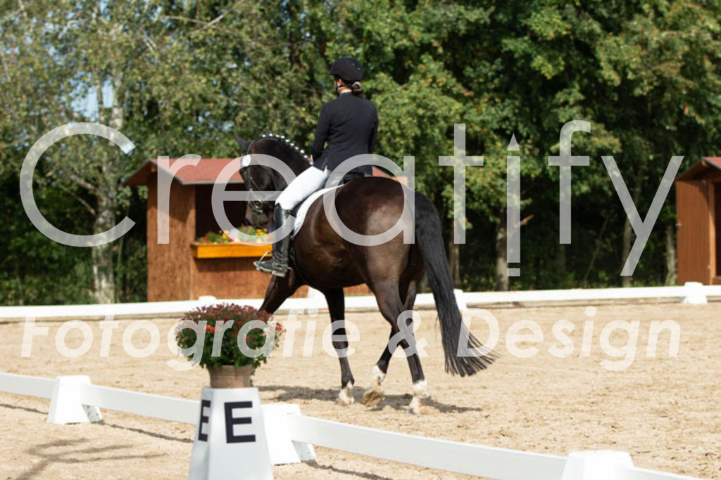 IMG_3155 | Creatify Fotografie