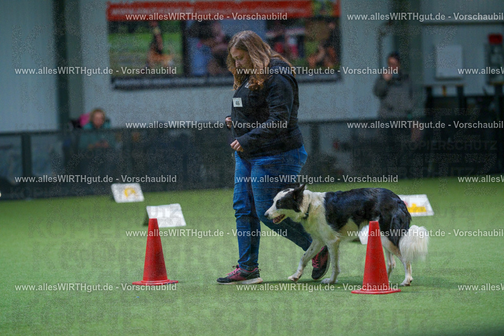 7R501394 | Professionelle Tierfotografie in Mönchengladbach von Daniel Wirth (allesWIRTHgut). Liebevolle & natürliche Bilder von Hunden & Katzen für unvergessliche Erinnerungen.