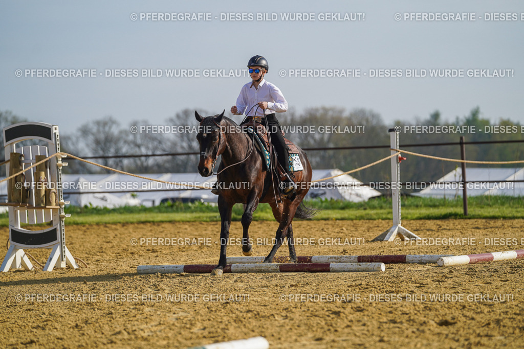 DSC00804 | Pferdegrafie