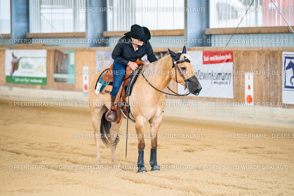 DSC08535 | Pferdegrafie