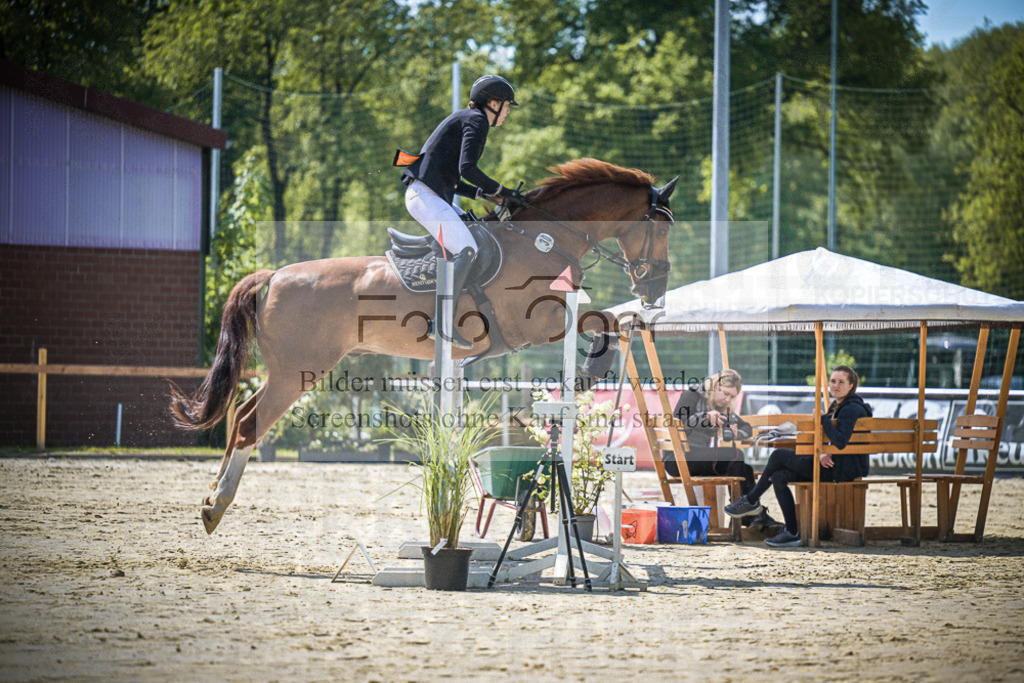 DOS_9214 | Entdecke hochwertige Reitturnierfotos von Foto Oger. Professionell, emotional und authentisch – jetzt Lieblingsmomente im Shop bestellen.Deutschlandweite Turnierfotografie. - Realisiert mit Pictrs.com