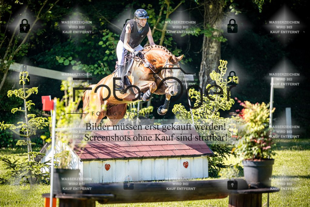 2026-05 - Melle Oldendorf-3-0055 | Entdecke hochwertige Reitturnierfotos von Foto Oger. Professionell, emotional und authentisch – jetzt Lieblingsmomente im Shop bestellen.Deutschlandweite Turnierfotografie. - Realisiert mit Pictrs.com