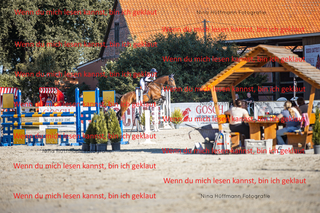BK1A7697 | Turnierbilder Turnierfotos Nina Hüffmann Turnierfotografie Pferdefotografie Tierzeichnung Haustierzeichnung Pferdezeichnung Hundezeichnung Videograf  - Realisiert mit Pictrs.com