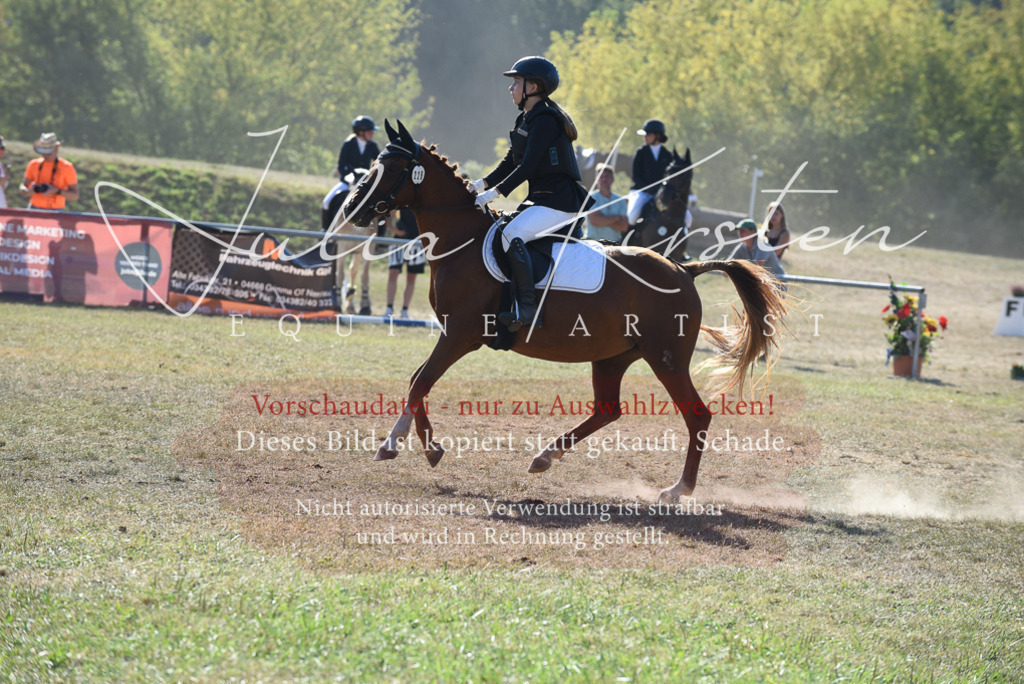 DSC_5911 | Pferde- und Turnierfotografie in Westsachsen. Pferdeportraits, Auftragszeichnungen und intuitive Kunst.