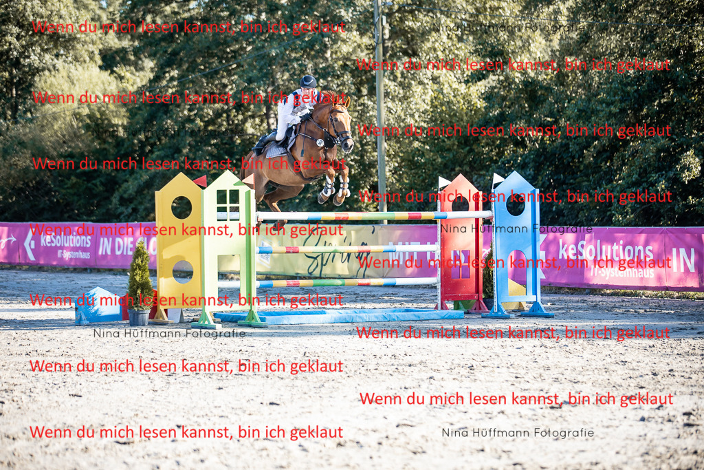 BK1A8720 | Turnierbilder Turnierfotos Nina Hüffmann Turnierfotografie Pferdefotografie Tierzeichnung Haustierzeichnung Pferdezeichnung Hundezeichnung Videograf  - Realisiert mit Pictrs.com