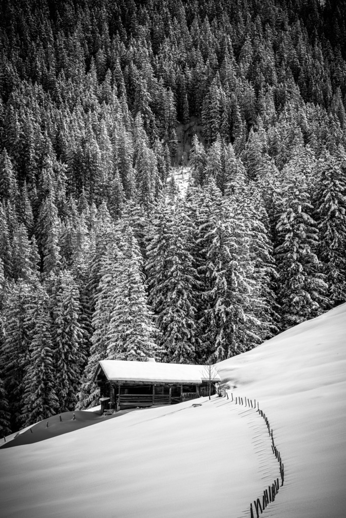 DSC03453 | Tinu Müller Fotografie- Bildershop - Realisiert mit Pictrs.com