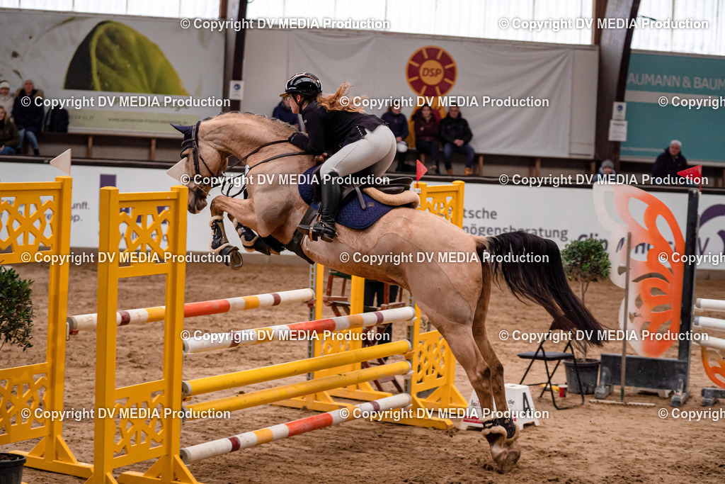 Kranichstein Tag 3-237 | dv-media-shop - Realisiert mit Pictrs.com