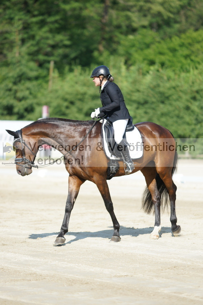 DSC01308 | equestrian-live-com