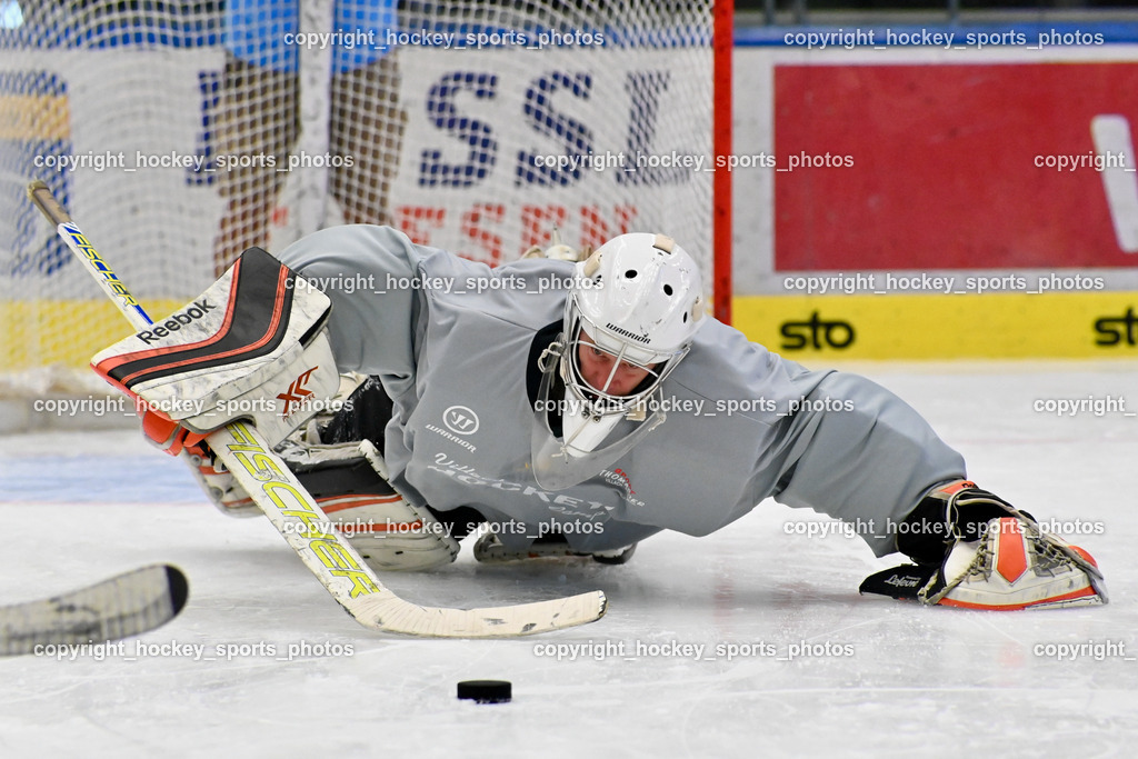 BST_7474 | hockey sports photos, Pressefotos, Sportfotos, hockey247, win 2day icehockeyleague, Handball Austria, Floorball Austria, ÖVV, Kärntner Eishockeyverband, KEHV, KFV, Kärntner Fussballverband, Österreichischer Volleyballverband, Alps Hockey League, ÖFB, 