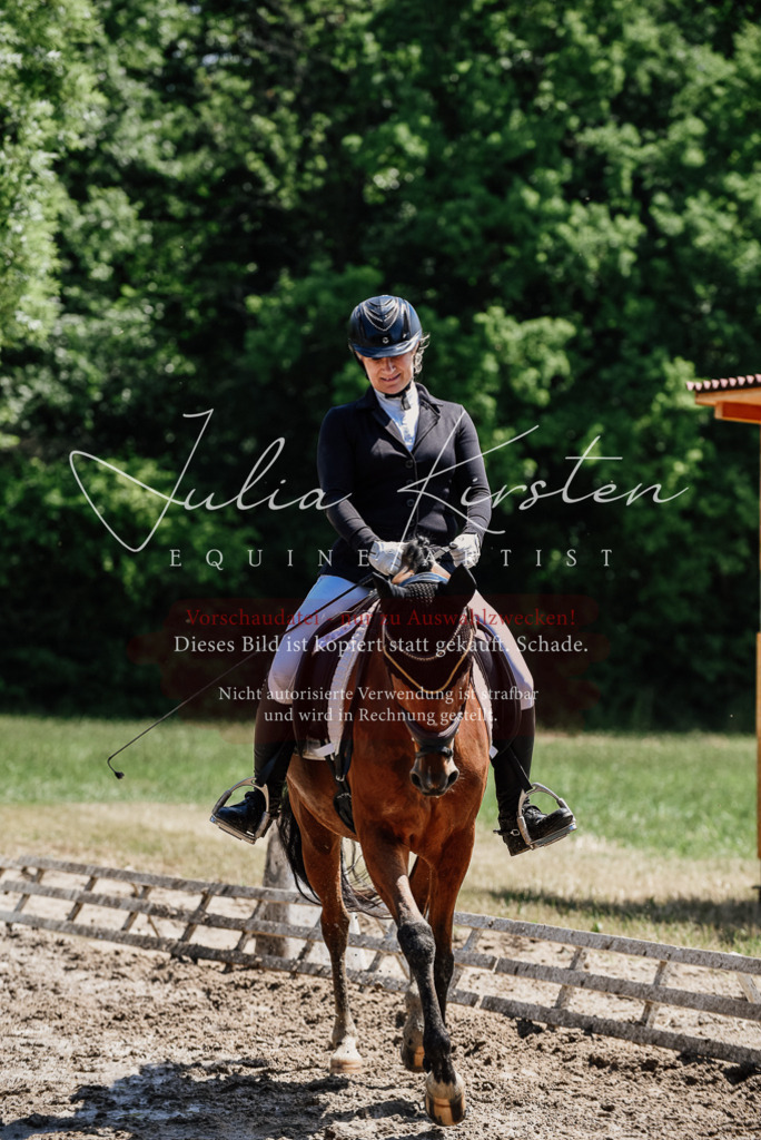 DSC_1865 | Pferde- und Turnierfotografie in Westsachsen. Pferdeportraits, Auftragszeichnungen und intuitive Kunst.