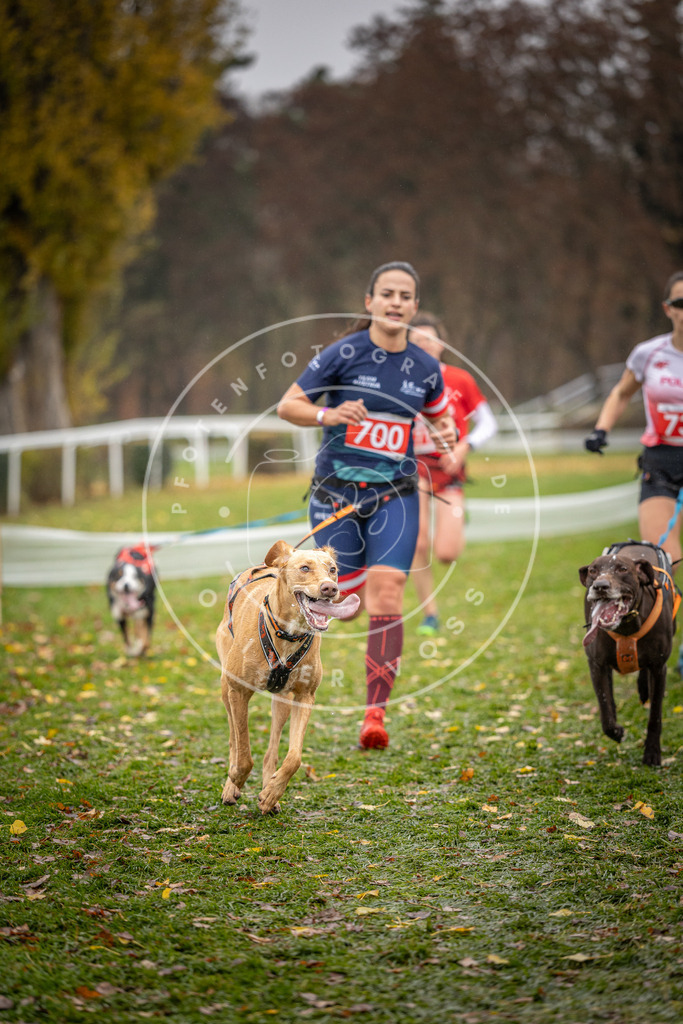 CaniXpix_DV3A9210 | Hundefotografie, Tierfotograf, Pfotenfotografie, Fotoshooting Hund, Hunde Portrait, Hundesport, Hundeportraits, Heideshooting, Hunde, Sportfotograf, Hundefotograf, Turnierhundsport, THS,  - Realisiert mit Pictrs.com