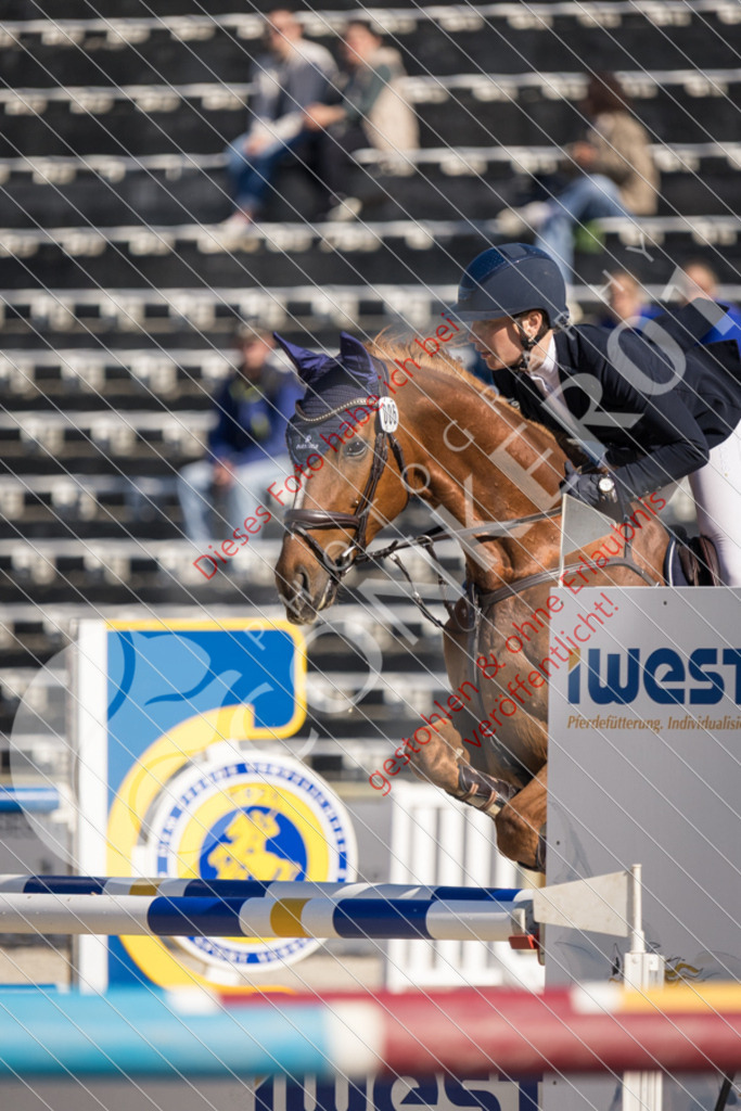 IMG_3189 | Sport-, Event- und Tierfotos in Profiqualität. Einfach auswählen, bestellen und herunterladen. Dein Moment – perfekt festgehalten.
