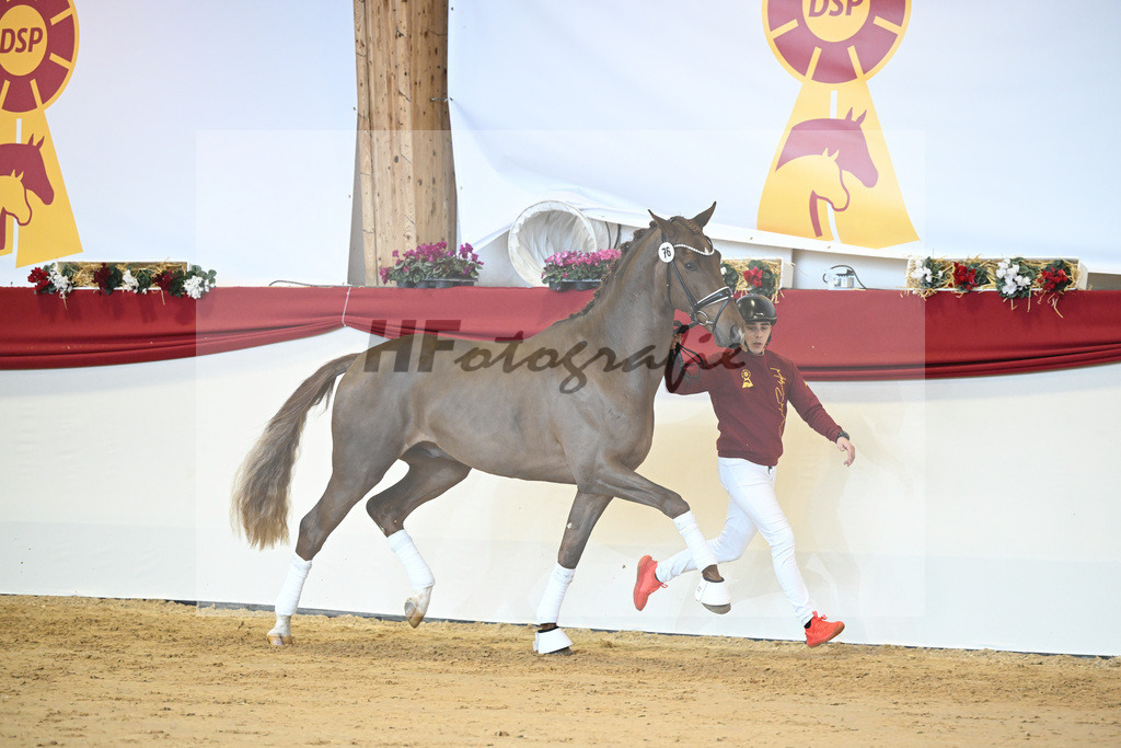 Kat-Nr. 76 Vitalis_Beckmann_1231514 | hf-fotografie - Realisiert mit Pictrs.com