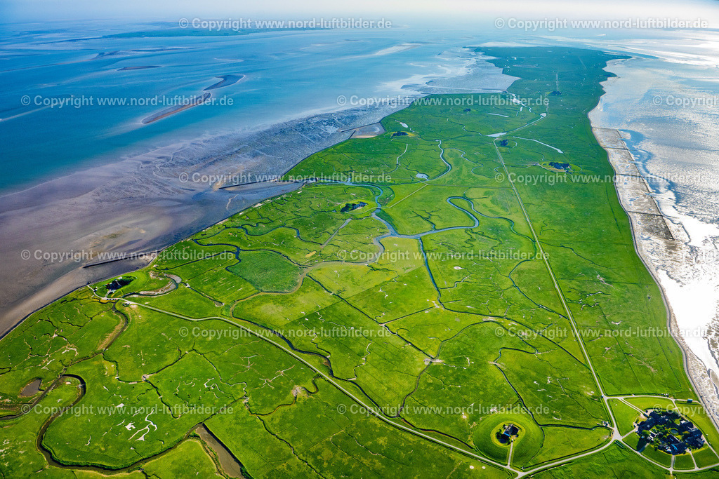 Langeness_Hallig_ELS_0747300523 | LANGENEß 30.05.2023 Grasflächen- Strukturen einer Hallig- Landschaft auf der Nordsee- Insel Nordmarsch-Langeneß in Langeneß Nordfriesland im Bundesland Schleswig-Holstein. Weiterführende Informationen bei: Ge-mein-de Lan-ge-neß. // Green space structures a Hallig Landscape in Langeness in the state Schleswig-Holstein. Further information at: Ge-mein-de Lan-ge-ness. Foto: Martin Elsen