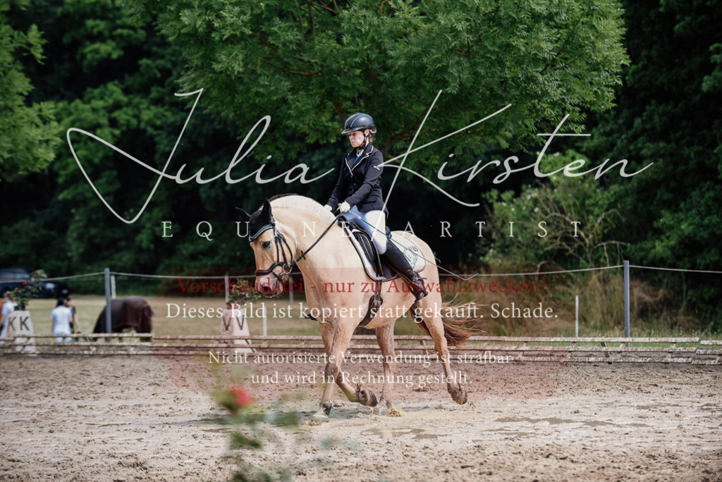 DSC_1691 | Pferde- und Turnierfotografie in Westsachsen. Pferdeportraits, Auftragszeichnungen und intuitive Kunst.