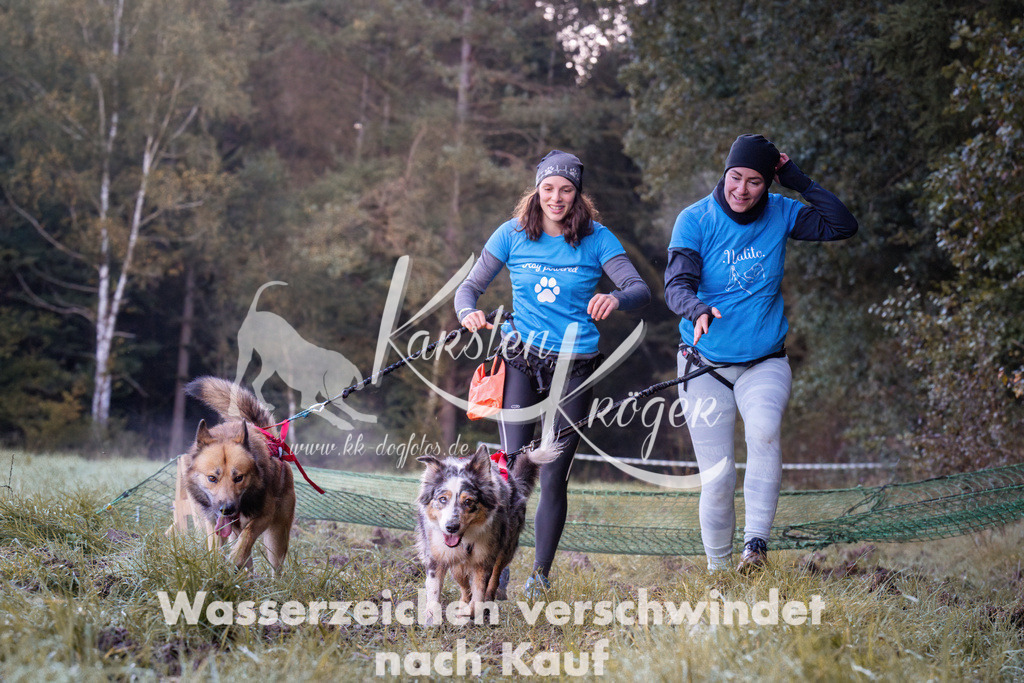0823_ZZ90228 | kk-dogfotos