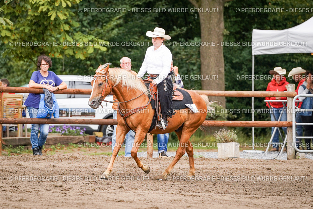 DSC06809 | Pferdegrafie