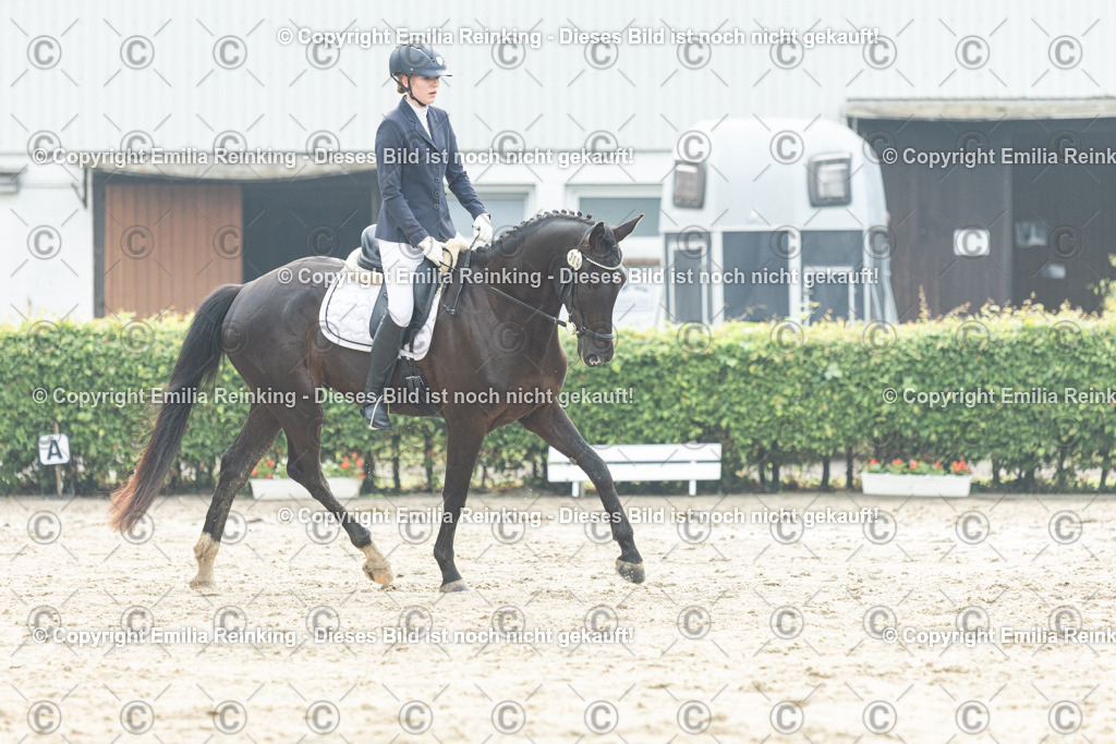 CL5A3308 | Emilia Reinking Fotografie - Realisiert mit Pictrs.com