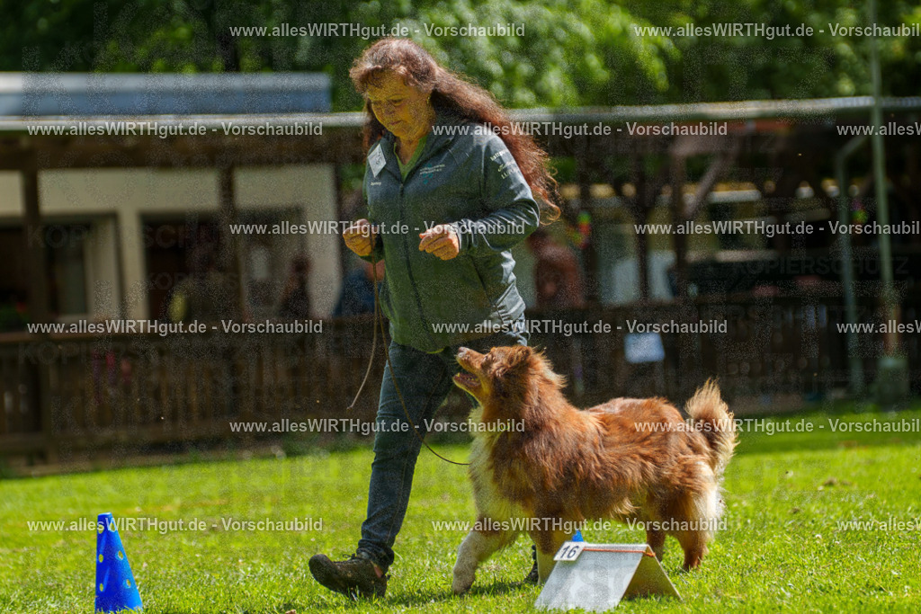 @allesWIRTHgut_Tierfotografie - www.allesWIRTHgut.de - 7R500826 | Professionelle Tierfotografie in Mönchengladbach von Daniel Wirth (allesWIRTHgut). Liebevolle & natürliche Bilder von Hunden & Katzen für unvergessliche Erinnerungen.