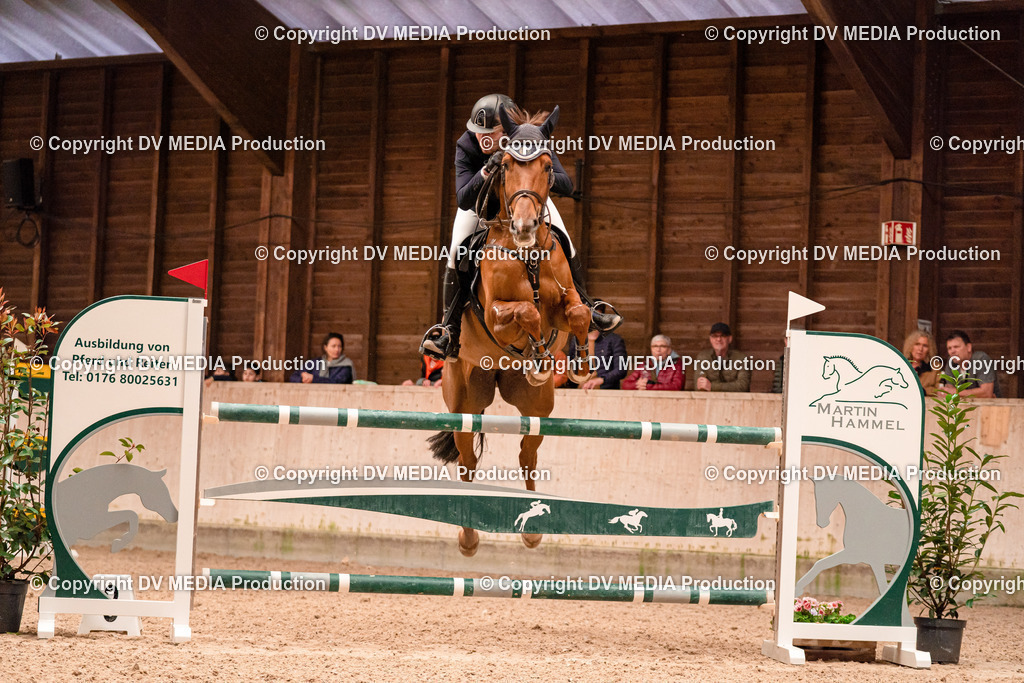 Springen Tag 3-422 | dv-media-shop - Realisiert mit Pictrs.com